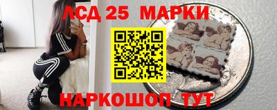 индика Гусь-Хрустальный