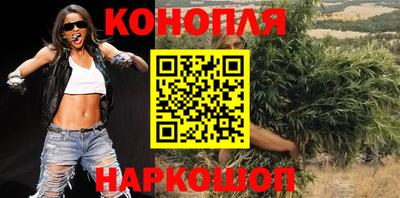 индика Гусь-Хрустальный