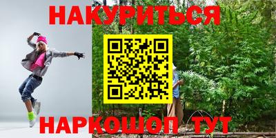 индика Гусь-Хрустальный