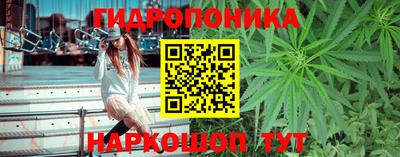 трава Гусев