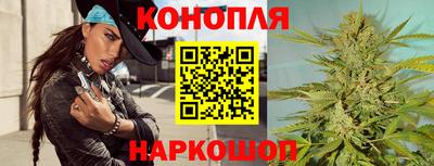 индика Гусь-Хрустальный