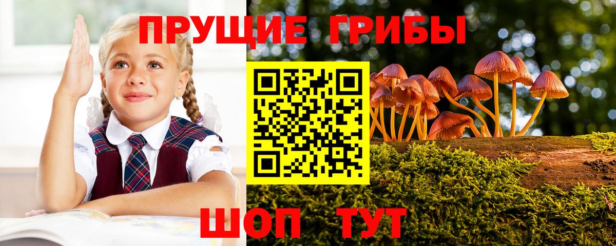 Искитим  Псилоцибиновые грибы MAGIC MUSHROOMS  Вход с VPN 